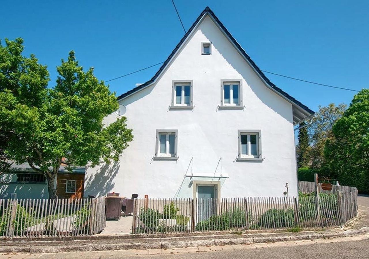Ferienwohnung Im Weingewoelbe 诗道芬·因·布赖施高 外观 照片